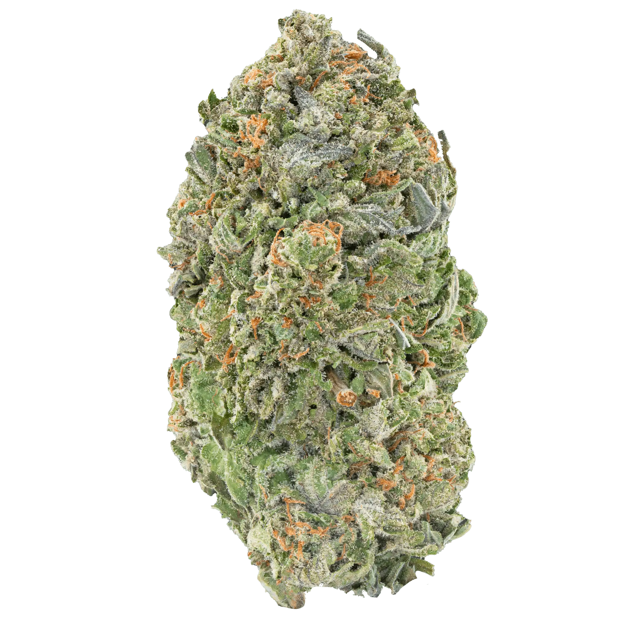 Cheap THCa Flower